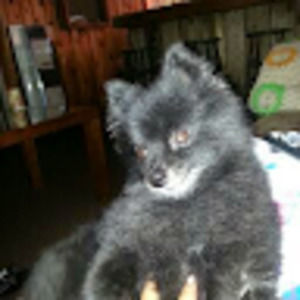 Meet your Posher, Kisha